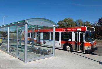Transit bus